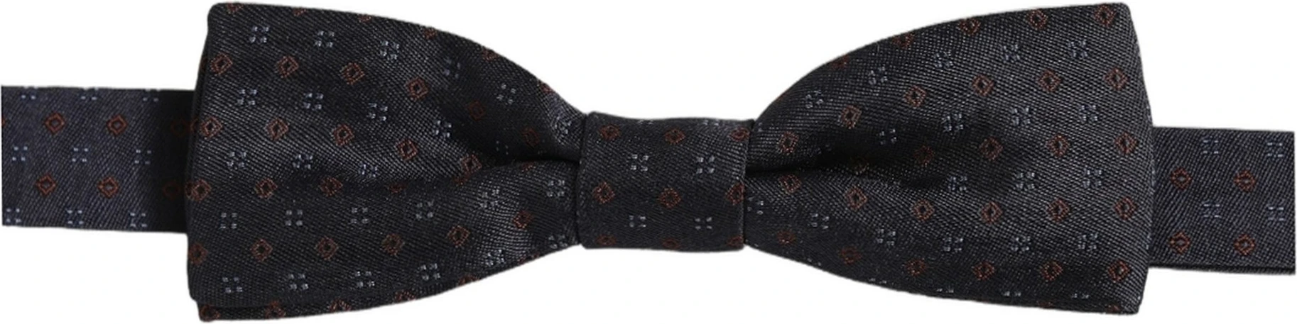 Бабочка Dolce & Gabbana