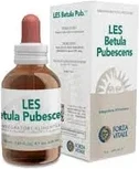 Drops Forza Vitale Les Betula Pubescens