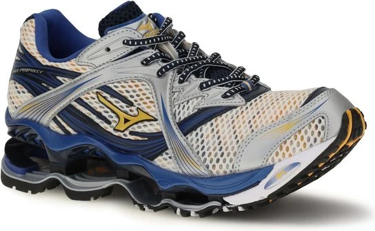 Спортивные кроссовки Mizuno Wave Prophecy