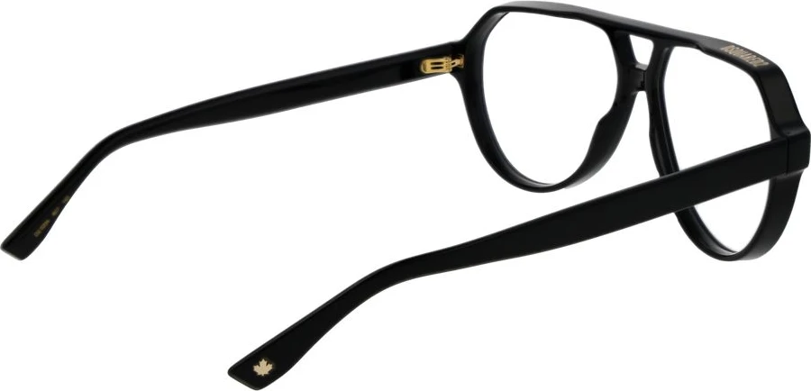 Очки Dsquared2