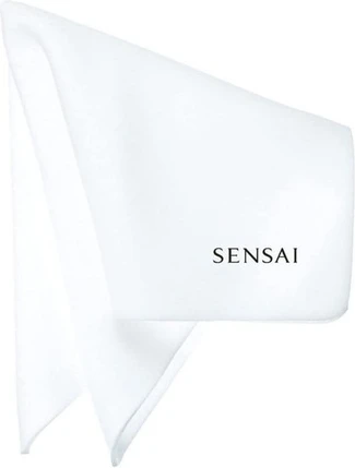 Sponge Chief Sensai